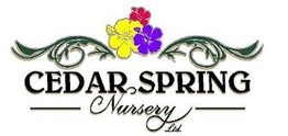 Cedar Spring Nursery
