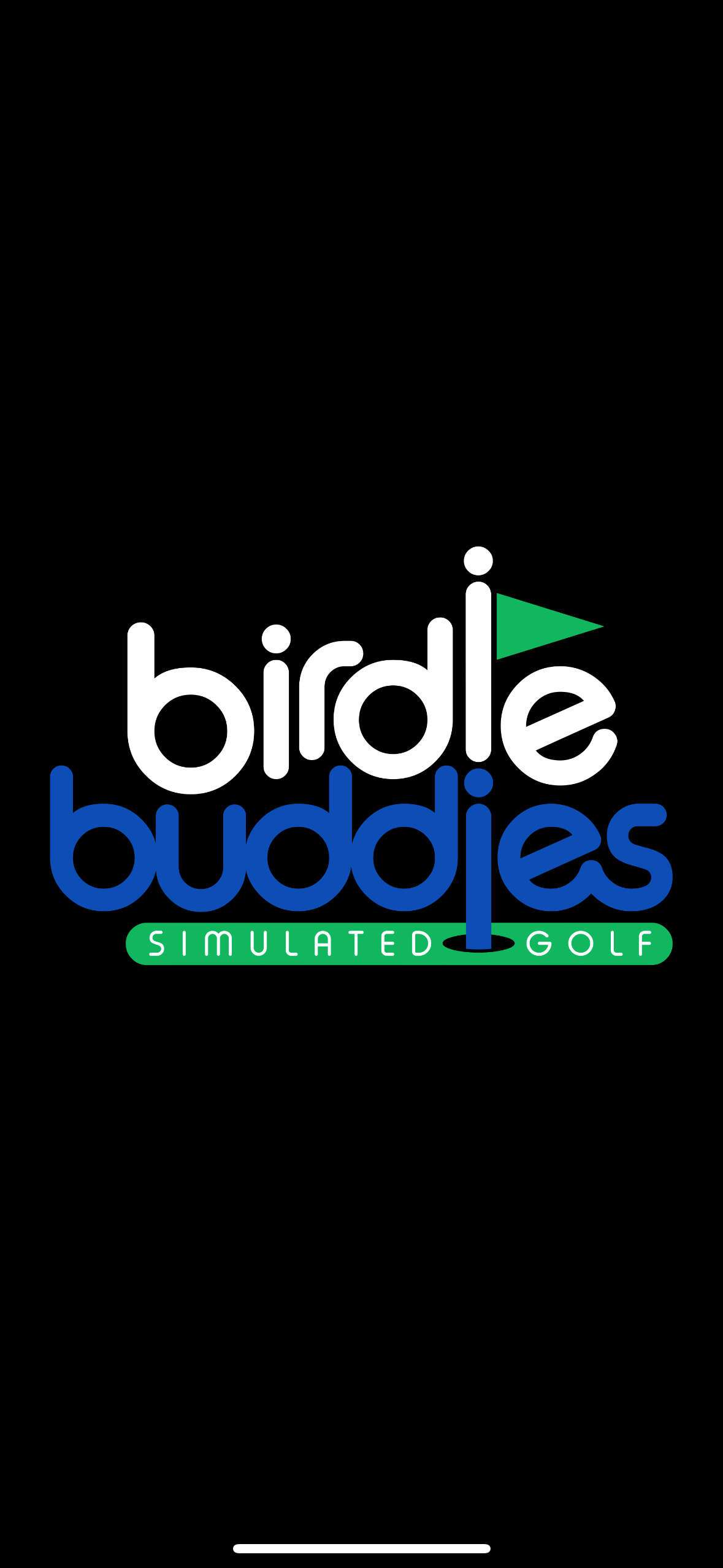 Birdie Buddies Golf
